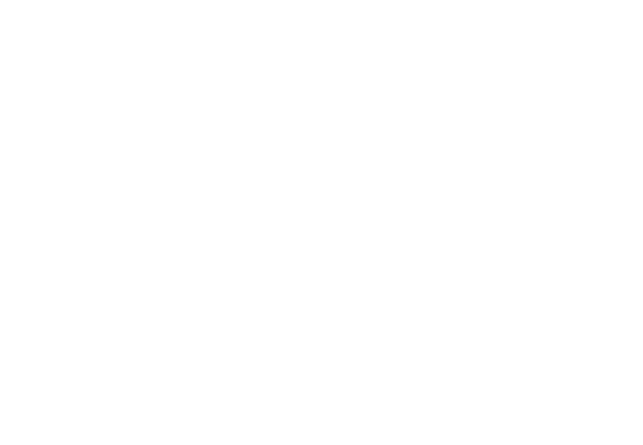 Vizcom Contracting
